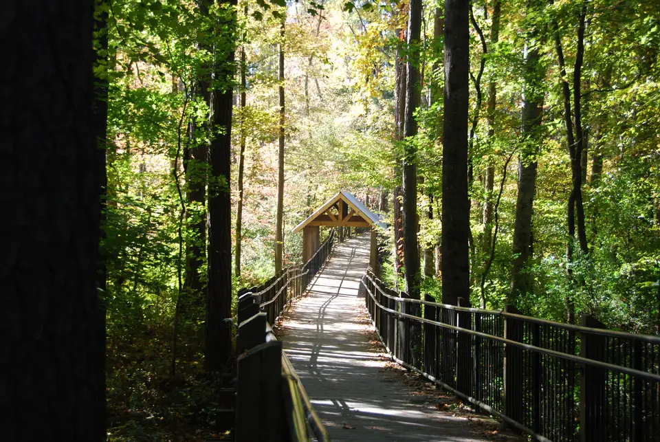 A long railed boardwalk runs straight through tall sunlit trees with green, yellow and rust leaves toward a small peaked-roof timber covered section in the distance; a dark tree trunk frames the left edge.