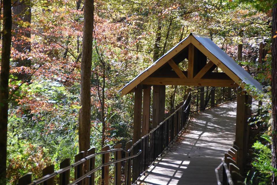 A wooden boardwalk with dark metal railings passes under a peaked timber-framed roof with a metal top, set among trees in orange, rust, yellow and green autumn leaves; sun-dappled shadows on the deck.