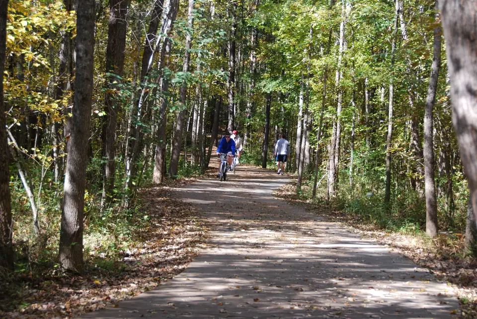A leaf-strewn paved trail through a sunlit forest of tall slender trees with yellowing leaves; two cyclists, one in a blue jacket and one in a red cap, ride toward the camera while a man in a gray shirt and dark shorts walks away on the right.